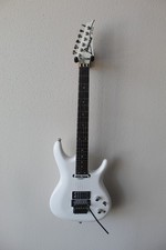 Brand New Ibanez JS2480 Joe