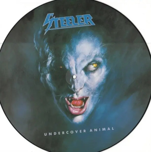 Picture disc steeler - disc,