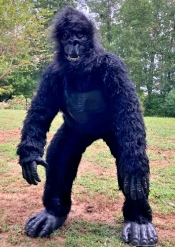 Costume halloween scimmia - costume,
