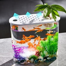  Vasca Acquario Per Pesci Tank