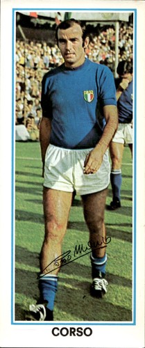 Figurina gigante 1972 - figurina,