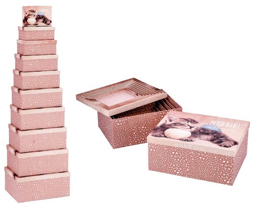 Set scatole cartone - set, 10