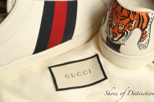 Scarpe ginnastica gucci ace - da,