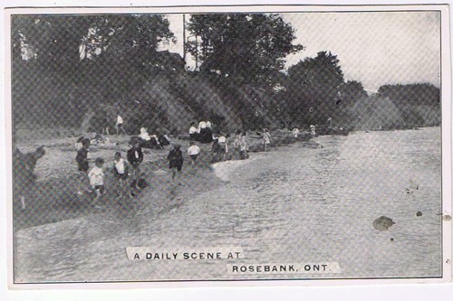 Ontario postcard rosebank - ontario,