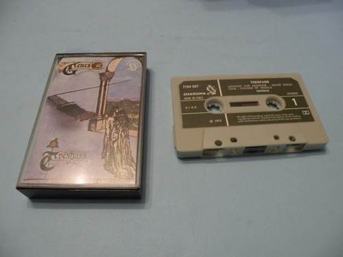 Musicassetta genesis - musicassetta,