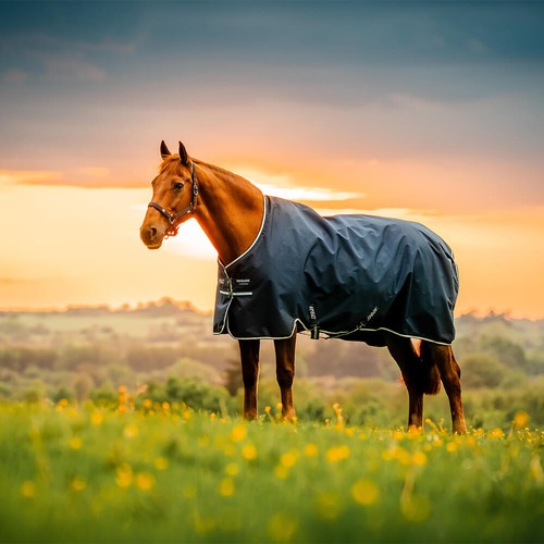 Horseware amigo ripstop 900d - horseware,