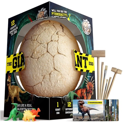 Kit scavo uova dinosauro - uova,