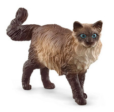 GATTO RAGDOLL miniatura