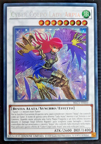 Cyber colpo lady - cyber,