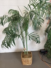 Palma di bambù finto albero