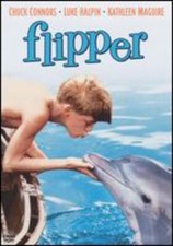 Flipper