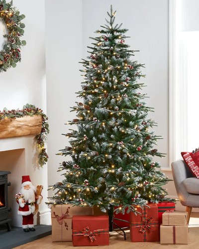 Albero natale abete - natale,