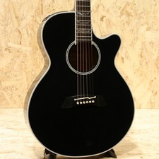Chitarra elettrica acustica