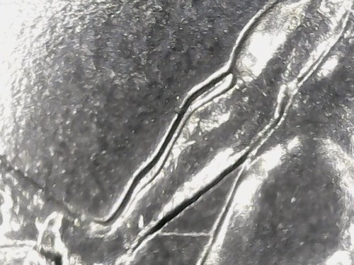 Lire 1975 errore - lire,