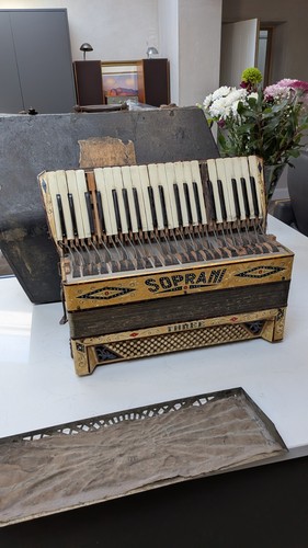 Fisarmonica vintage soprani - fisarmonica,