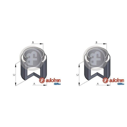 Pistoni autofren 48mm pinza - 2,