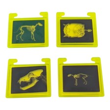 Lotto Playmobil 4 radiografie verdi veterinario ospedale medico