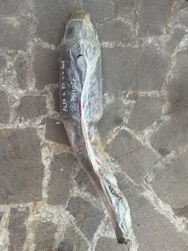 Scarico terminale supersprint - scarico,