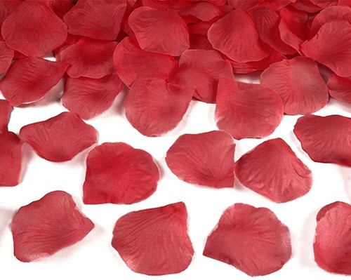 200 petali rosa rossi per - di,