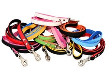 Vera pelle Morbida Cane