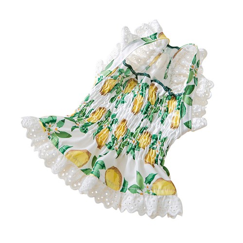 Abbigliamento cani vestito - ,