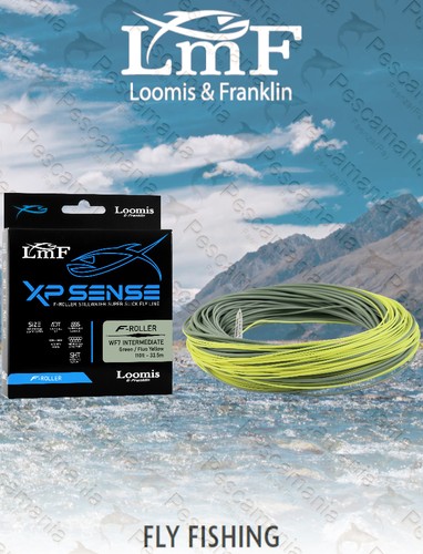Coda topo lmf loomis - di,