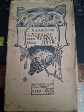 Canestrini alleanze degli - le,