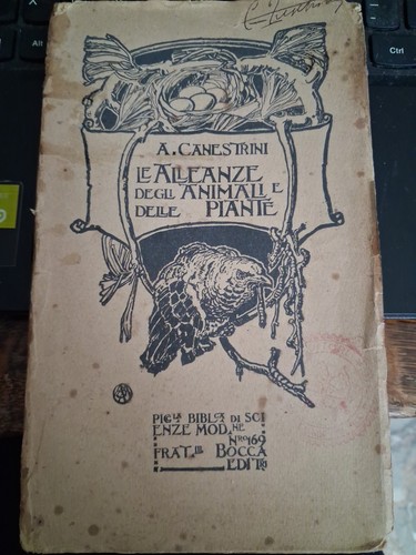 Canestrini alleanze degli - le,