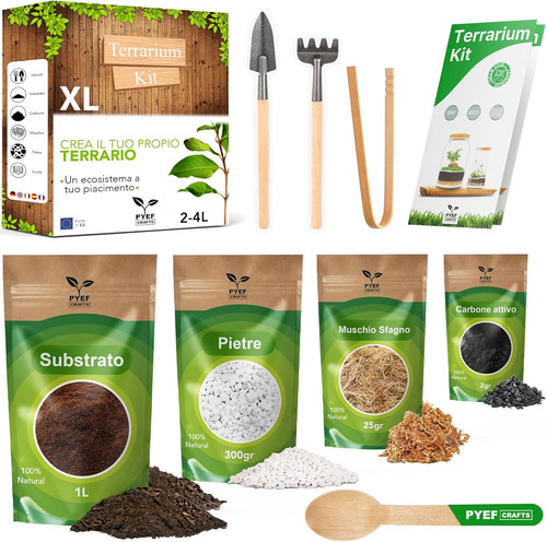 Terrarium kit diy per - diy, un
