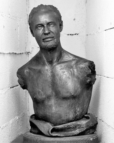 Busto bronzeo autore - ,