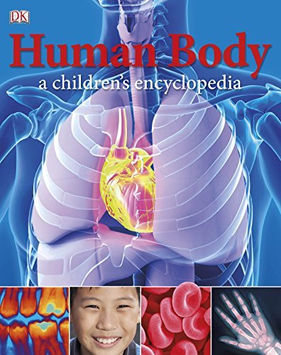 Human body children - human, a