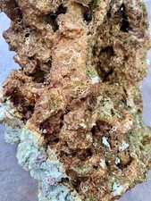 10 libbre curate Fiji roccia