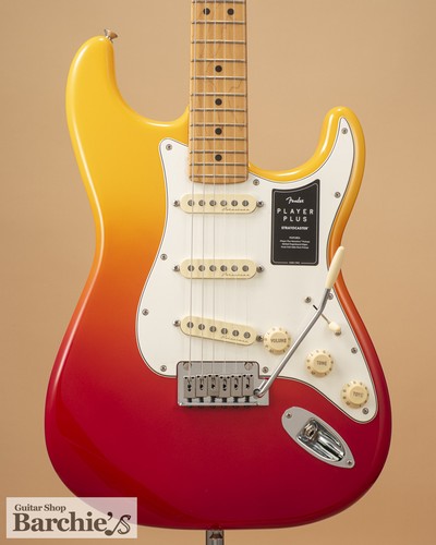 Lettore fender plus - fender,