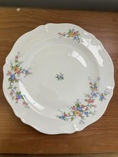 Piatto campione porcellana