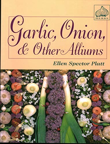 Garlic onion other alliums - onion,,