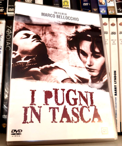 Pugni tasca marco - pugni, in