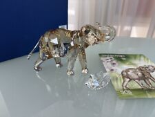 Statua Swarovski 1137207 Cinta Elefante 16,5 cm. Certificato originale. Ottim...