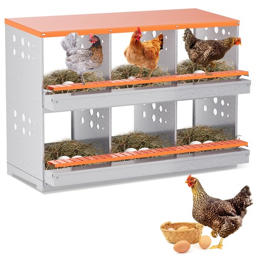 Scatola nido pollo - , raccolta