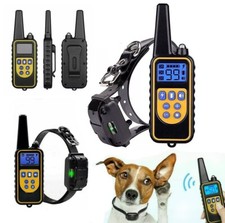 Collare 800m da addestramento per cani ricaricabile IP67 telecomando con display
