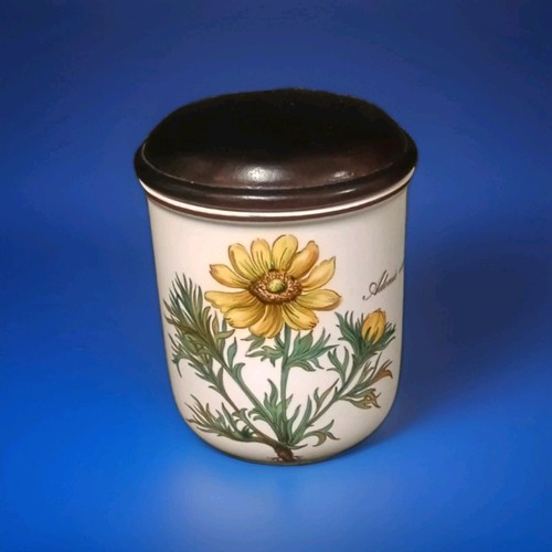 Pot villeroy boch botanica - pot,