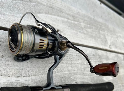 Mulinello spinning daiwa - spinning,