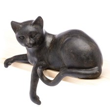 Gatto sdraiato animale - , del