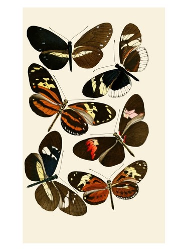 Poster vintage collezione - poster,