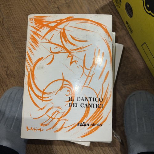 Cantico dei cantici - cantico,