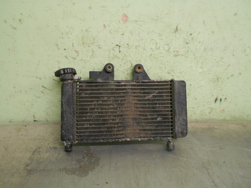 Radiatore shadow honda 125 - radiatore,