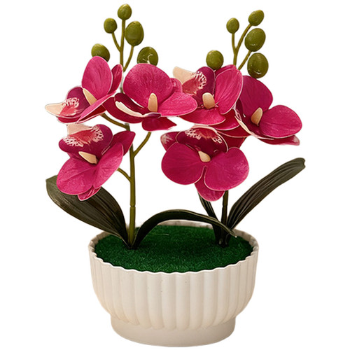 Orchidea realistica finta