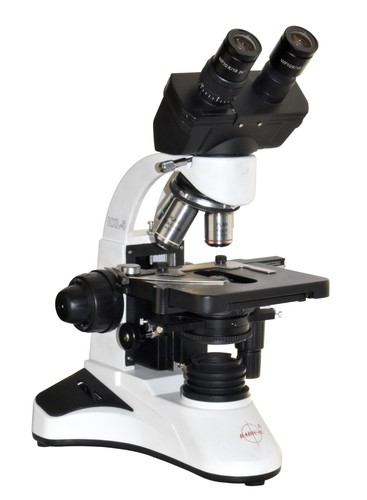 Microscopio contrasto di - contrasto,