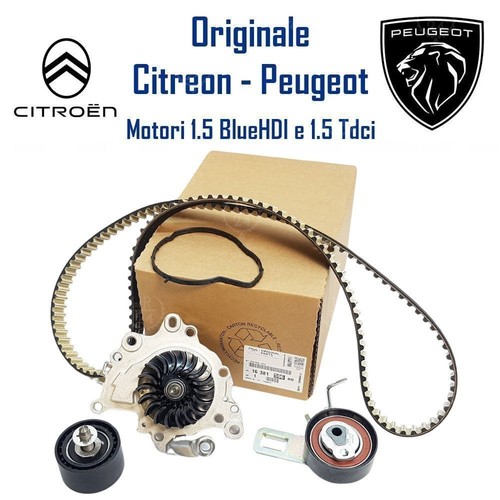 Kit distribuzione originale - distribuzione,