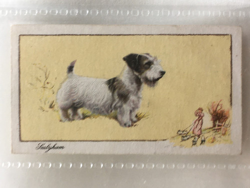 Gallagher cigarett card - cigarett,
