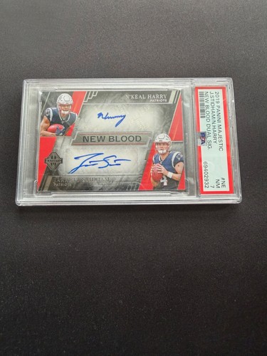 Panini majestic new - new, blood